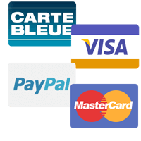 Solutions de paiements multiples